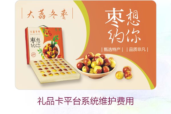 礼品卡平台系统维护费用3.jpg
